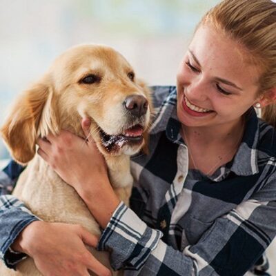 Animal Care Diploma